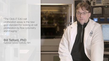 Click-iT™ EdU technology is the best for measuring DNA synthesis by flow cytometry