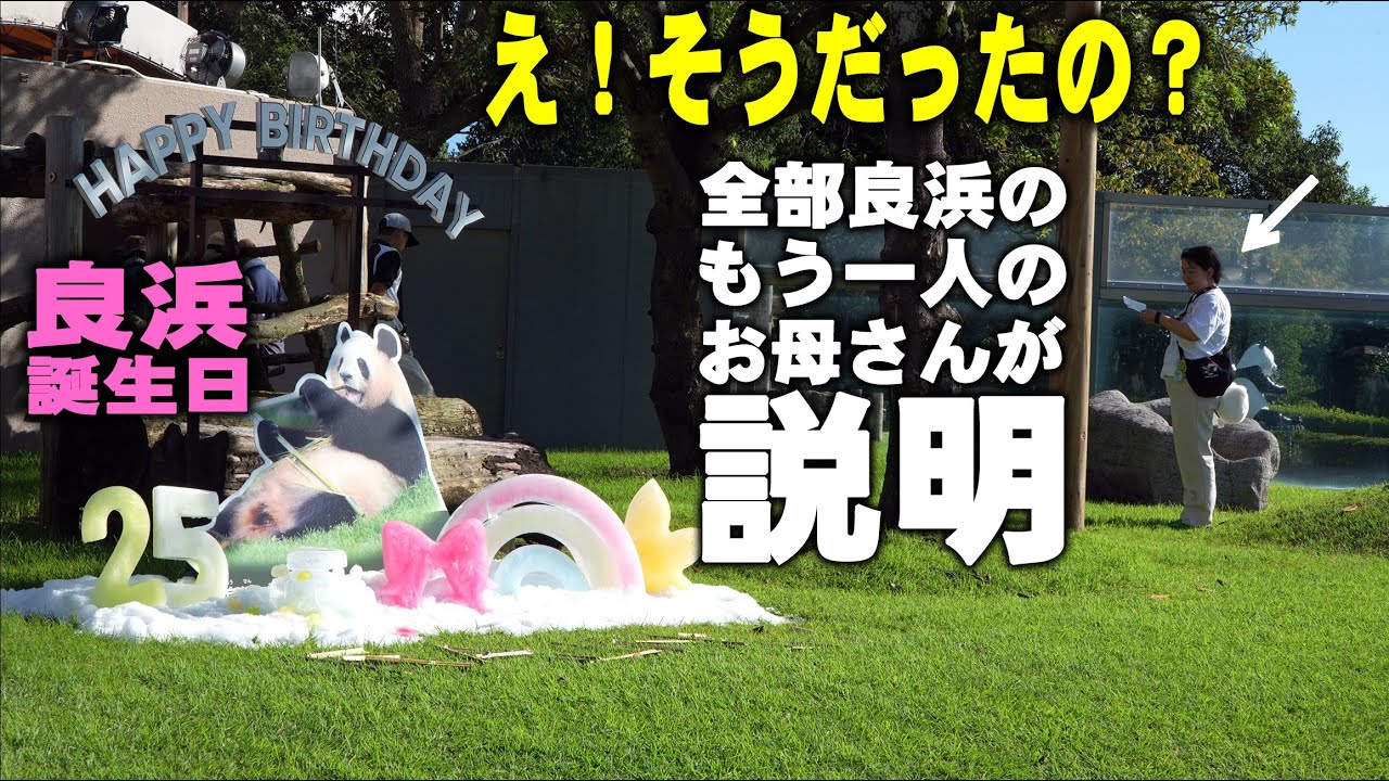 Updates on the pandas who left Japan 🐼 How are birthday