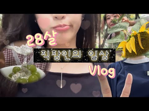 ⌈ 퇴근 후가 진짜 내 하루! ⌋ 28살 직장인 알찬 일상 브이로그 | 이직하기 위한 몸부림 