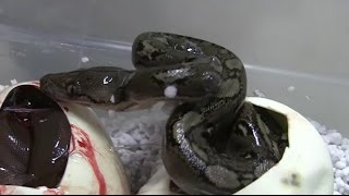 Can you spot what's wrong at the end of this video?