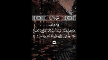 وإذا سألك عبادي عني فإني قريب #سورة_البقرة #ماهر_المعيقلي #حامل_القرآن #إسلاميات #قرآن #شهر_رمضان