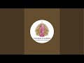 TIRUMALA SARES Elegance in Tradition is live