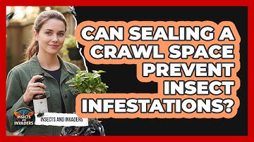 Can Sealing A Crawl Space Prevent Insect Infestations?