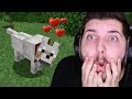 Minecraft'ta arkadaş buldum!!! - Bölüm 2