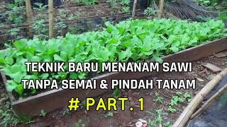 Cara Baru Menanam Sawi Tanpa Semai & Pindah Tanam # PART 1