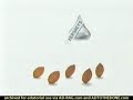 Hershey's Kisses with almonds commercial 1996