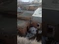 کبوتر بازی دار شهرکردی کبوتر بازی دار شهرکردی