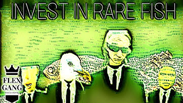 Lil Pinecone - "Rare Fish" ft. Young Seagull, Error404, & Lil Soz (FGE - Official Music Video)