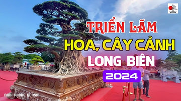 Triển lãm Cây cảnh Long Biên 2024