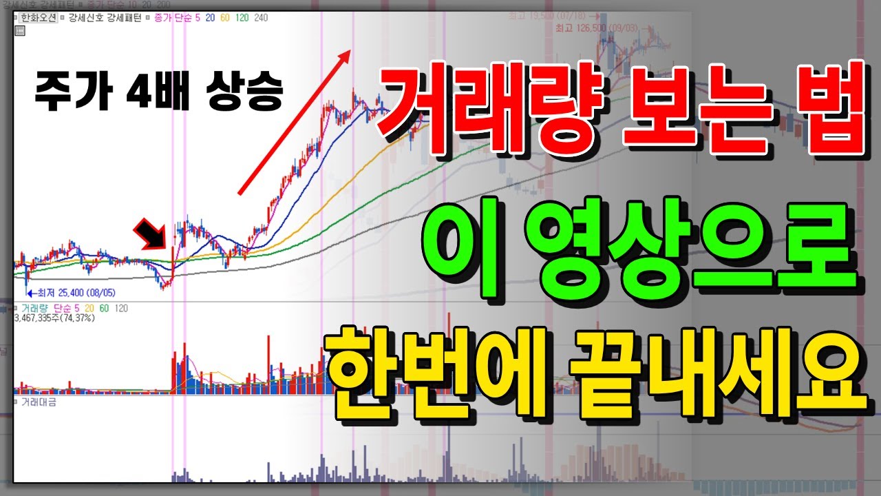 거래량 '제대로' 보고 차트 투자로 부자되는 법, 이 영상 하나면 끝납니다.