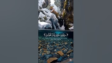 سورة الانسان راحة نفسية #قرآن
