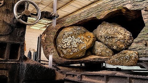 Massive Wood VS Chainsaw — Who Will Come Out on Top