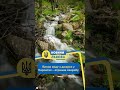 #shorts Випив воду з джерел у Карпатах – отримав хворобу