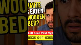 Termites Damaged Your Bed? Dont Worry, Call Azad Pest Mgt 03250440353