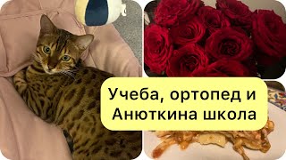 Учеба, ортопед, Анюткина школа и конечно внученька ❤️