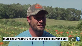 Ionia County pumpkin patch expects record crop