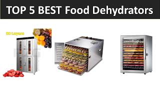 TOP 5 BEST Food Dehydrators 2026