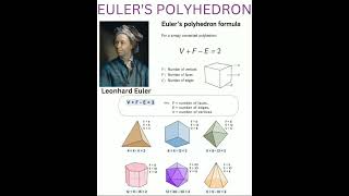 Euler's Polyhedron