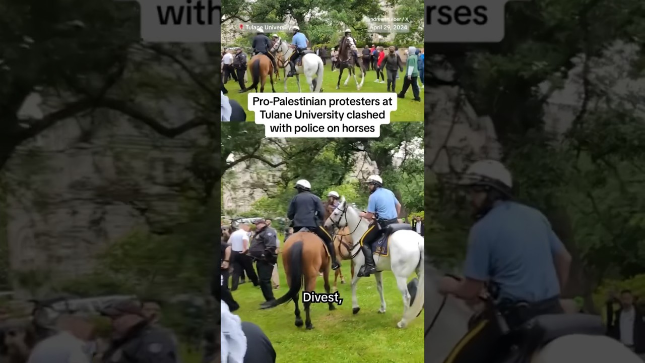 Tulane protesters clash with police on horses Tulane protesters clash with police on horses