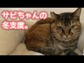 【冬用ハウス】この度サビちゃんは新居に引っ越しました