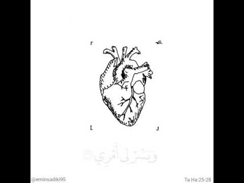 Surja Taha 25 28 Emin Sadiki