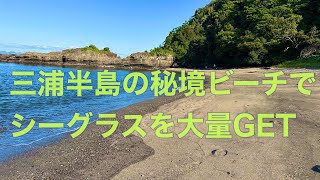 三浦半島の秘境ビーチでシーグラスが大量に拾えた！ - YouTube
