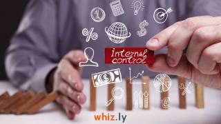 Internal Controls - Design, Implementation and Monitoring (Udemy Training Intro)