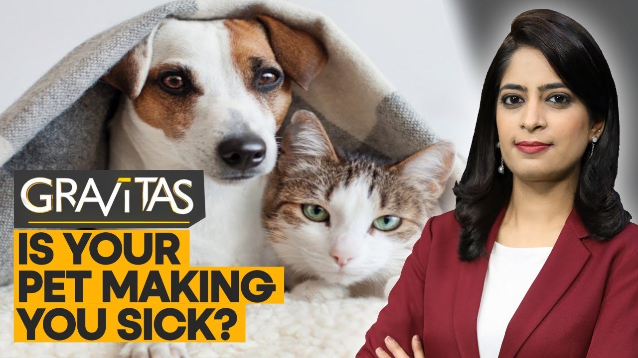 Gravitas: Pets passing on drug-resistant bacteria to owners?