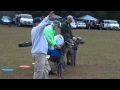 Deerhound Lure coursing run in Tallahassee Dec. 2012 Deerhound Lure coursing run in Tallahassee Dec. 2012