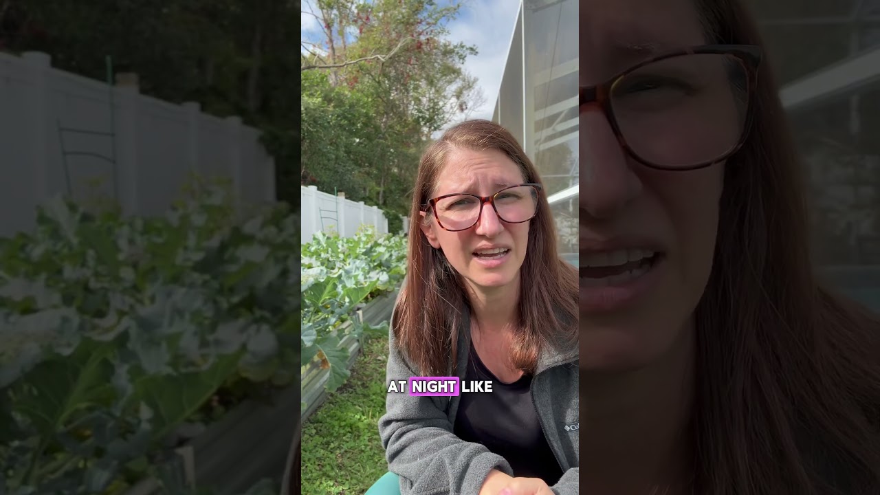 Florida Planting Tips for February