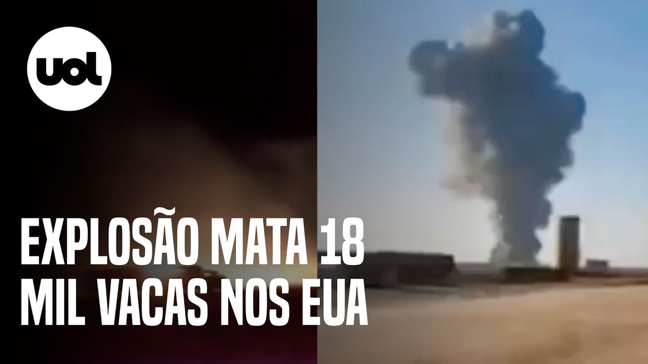 Explos o Mata 18 Mil Bovinos E Fere Uma Mulher No Texas EUA YouTube