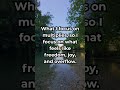 #alignment #gratitude #transformation #meditation #lawofattraction
