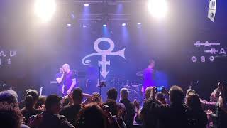 Remembering Prince - Purple Rain (live)