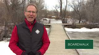 Alive in the Woods with CBC Manitoba at FortWhyte Alive - Boardwalk