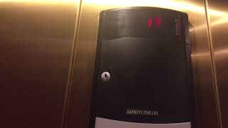 Schindler 330A Hydraulic Elevators at Wegmans Woodbridge NJ