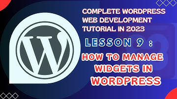 WORDPRESS WIDGET MANAGEMENT 2023
