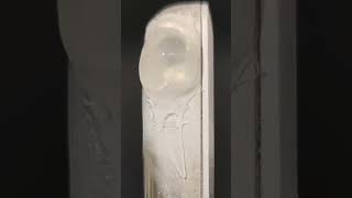 📱 Look How Clean This Phone Is and All the Dirt Removed! 😲 #shorts #foryou #satisfying