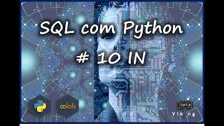SQL with Python - #10 IN Command