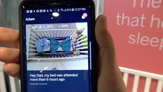 nanit plus app