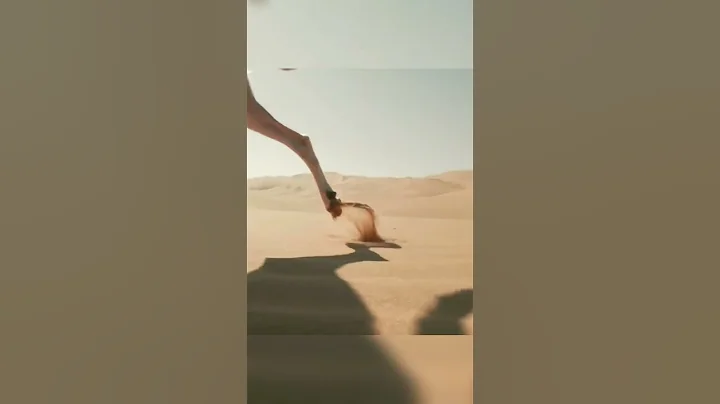 saluki: The Real Fastest Dog In The World. #shorts #dog #doglover #dogbreed #greyhounds #saluki