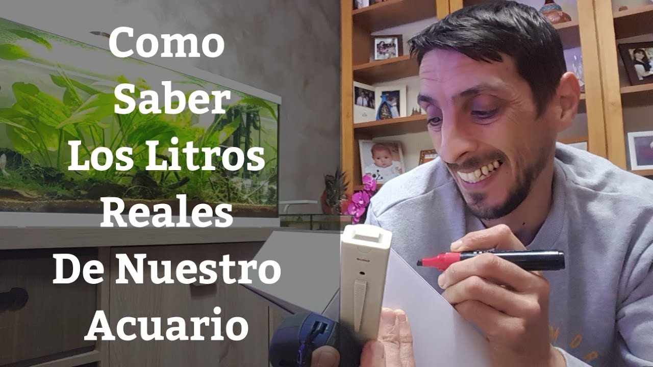 Como Saber De Cuantos Litros Es Mi Pecera
