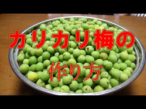 小梅のカリカリ漬けの作り方 Youtube