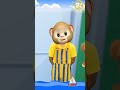 Baby Monkey Eating Sugar! | TigiBoo #shorts