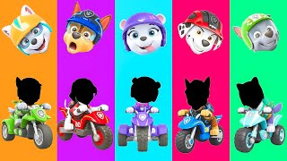 Wrong eyes👀 Paw Patrol Family Friendly Full Episodes! Zuma -DAME TU COSITA Funny Wrong Heads
