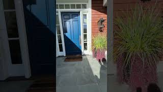 IMG 9168