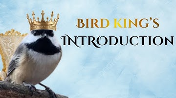 Hello World, I am the Bird King - My First Youtube Video
