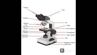 Microscope, its parts, functions, significances and reasonings made easy.