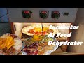 How to use incubator as food dehydrator - Home made Food Dehydrator