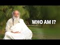 The Self | Thus Spake Babaji - online Q&amp;A, No. 112