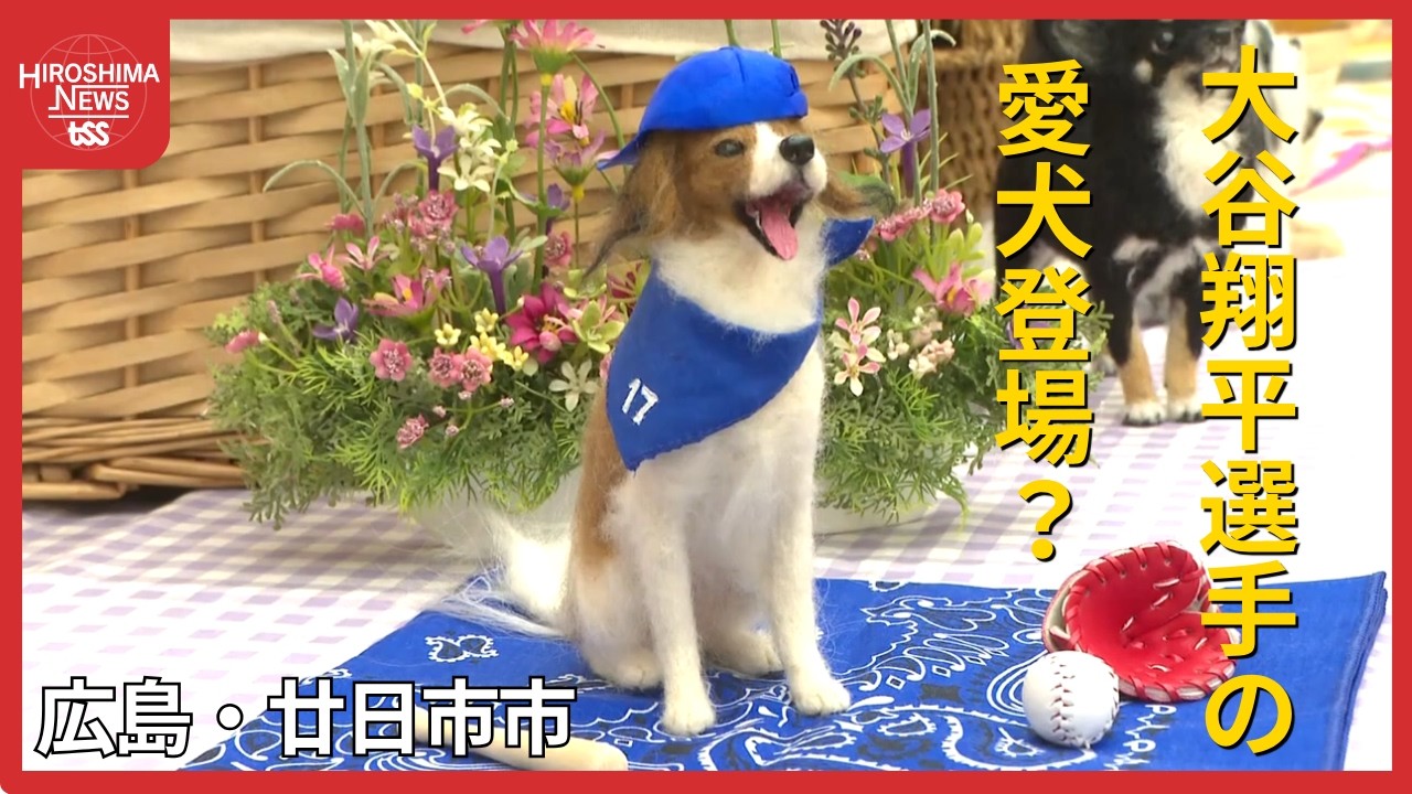 大谷翔平選手の愛犬『デコピン』も登場 「ワンちゃんと猫ちゃんの